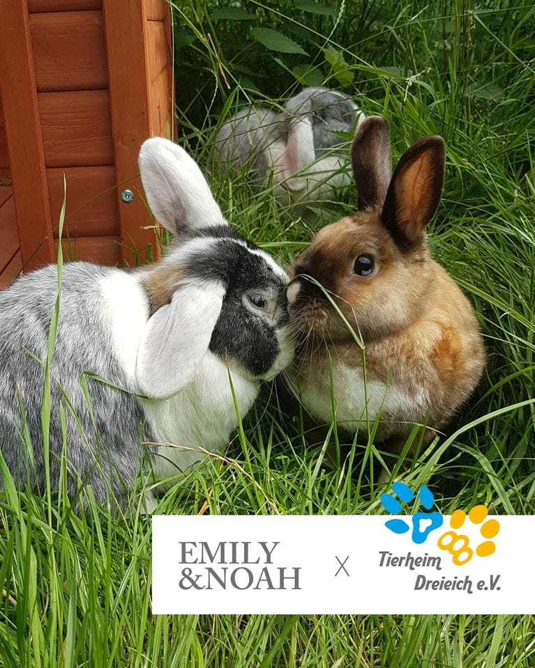 Weil jedes Tier zählt